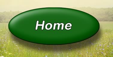 Please click here for the home page