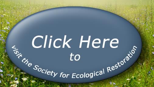 Please click this link